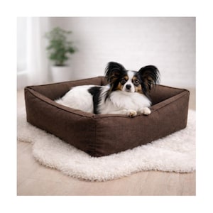 Puede incluir: Un perro Papillon descansa en una cama cuadrada marrón para perros sobre una alfombra blanca y esponjosa. El perro tiene marcas en blanco y negro y orejas grandes y con flecos. La cama para perros tiene un diseño simple y moderno.