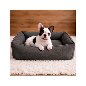 Puede incluir: Un cachorro de bulldog francés blanco y negro descansa en una cama rectangular gris para perros. La cama para perros está sobre una alfombra blanca y esponjosa. El fondo es una pared de madera.
