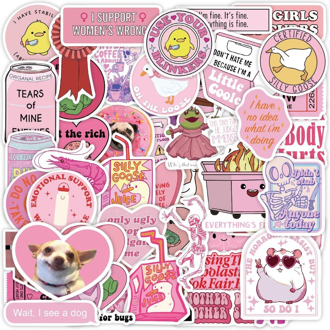 Pink Meme Stickers | Funny Waterproof Vinyl Decals, Laptop & Water ...