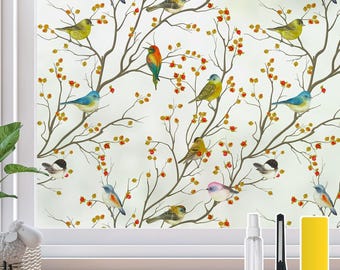 Puede incluir: Una película para ventanas con un patrón repetitivo de pájaros coloridos posados en ramas marrones con pequeñas bayas naranjas. El set incluye un pulverizador transparente, un cúter negro y una herramienta de alisado rectangular amarilla.