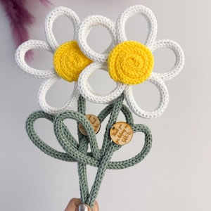 Hand-Knitted Daisy Flower with Wooden Tag – Teacher Appreciation Gift image 1