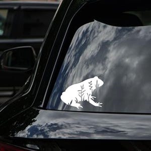 Frog Sticker Frog Car Decal Frog Accessories Car Decal Frog Bumper Sticker Frog Decal for Car Sticker Nature Lover Sticker for Nature Girl