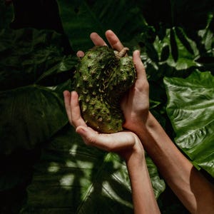 Organic Soursop Powder