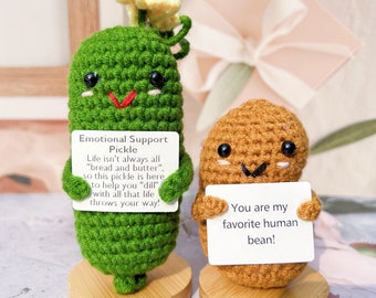 Crochet Emotional Support Pickle with Favorite Human Bean-Crochet Pickle-Crochet Coffee Bean-Encouragement Gift-A Gift of Love-Crochet Decor