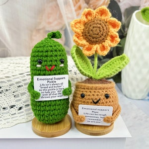 2PCS Gift Set Handmade Crochet Pickle with Warmming Sunflower-Emotional Support Pickle-Emotional Support Plant-Caring Gift-Mother's Day Gift