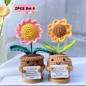 Handmade Crochet Sunflower/Daisy/Heart Shape Flower-Emotional Support Plant Gift-Mother's Day Gifts-Gifts for Mom-Love for Mom-Crochet Decor 2PCS Set A