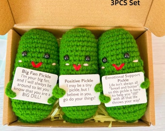 Emotional Support Pickle,Positive Pickle,Big Fan Pickle,Handmade Crochet Pickles,Crochet Pickle,Desk Decor,Christmas Gift