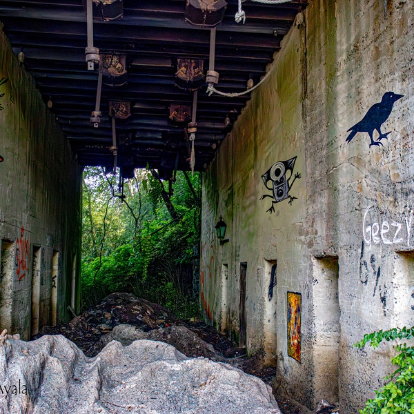 Abandoned Building Digital Download Photo-Farmhouse-Lambertville NJ-Wall Art-Photography-New Jersey