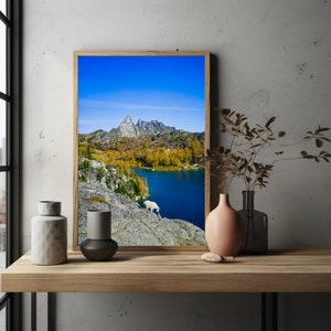 May include: A framed photograph of a mountain lake with a mountain range in the background. The lake is surrounded by trees and there is a white animal in the foreground.