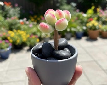 Faux Bear Paw Succulent Handmade Clay Cotyledon Tomentosa Realistic Fuzzy Succulent Shelf Desk Decor