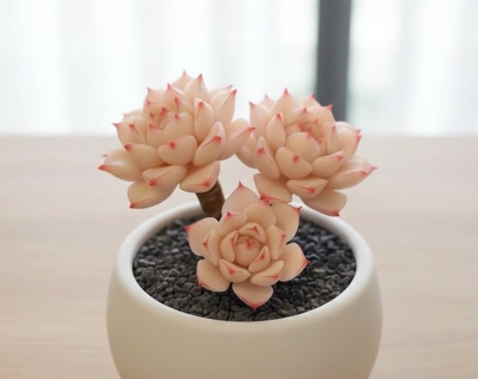 Rare Pink Echeveria Handmade Realistic Clay Succulent Terrarium Wedding Table Home Shelf Decor Arrangement
