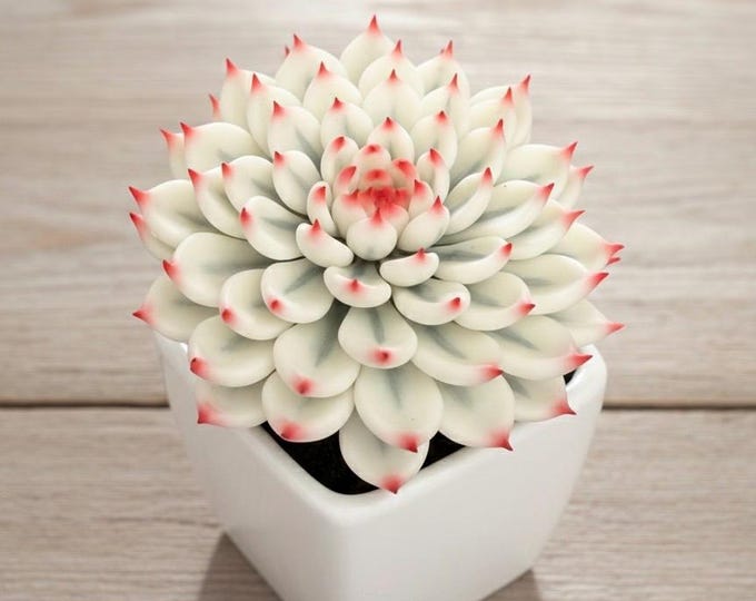 Variegated Echeveria Chihuahuaensis Cat’s Claw Handmade Clay Succulent  Everlasting Faux Realistic Flower Decor Gift