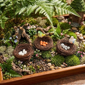 Miniature Bird Nest Birds Eggs Dollhouse Fairy Garden Accessory Terrarium Decor Micro Landscape Decoration