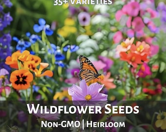 Native Wildflower Seed Mix: Heirloom Wild Flower Seeds 35+ Blend Pollinator Garden Low Maintenance