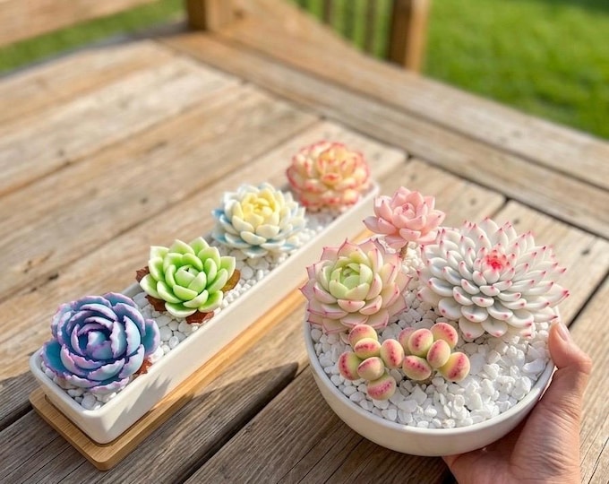 Hyper-Realistic Handmade Succulent Arrangement Flower Gift for Mom Wife Housewarming Faux Everlasting Plants Garden