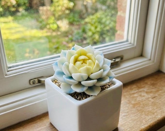 Variegated Echeveria Handmade Clay Succulent Faux Desk Terrarium Miniature Plant Zen Fairy Garden Decor