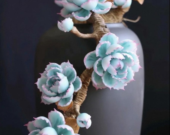 Variegated Echeveria Berkeley Botanical Sculpture, Artificial Succulent Handmade Hyper Realistic Collector's Clay Art