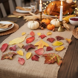 Preserved Assorted Fall Leaves Real Autumn Dried Leaf Fall Wedding Thanksgiving Table Decor