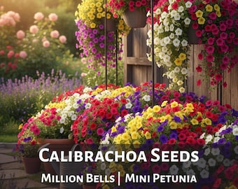 Mixed Calibrachoa Seeds Mini Petunia Like Flowers for Hanging Basket Patio Balcony Container Flowers