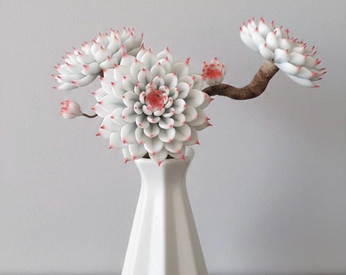 Variegated Echeveria Chihuahuaensis Botanical Sculpture, Cat’s Claw Artificial Succulent Handmade Hyper-Realistic Collector's Clay Art