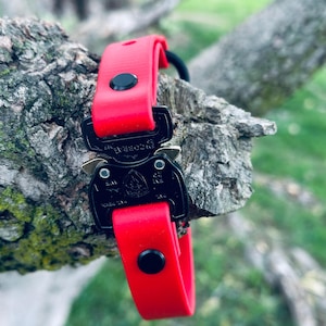 Custom Biothane Quick Release E-collar Straps 3/4”