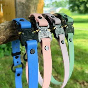 May include: Four pet collars in blue, light pink, lavender, and sage green, each featuring a black metal Cobra buckle with engraved text and a black D-ring. The collars are made of a smooth, flexible material and include black rivets and a sliding keeper.