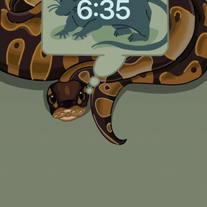 May include: A digital clock with a brown and black snake wrapped around it. The clock displays the time 6:35 and the date Friday, December 29.