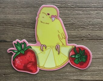 Pink Lemonade Budgie Parakeet Sticker- Albino parakeet- Vinyl satin waterproof finish- Hand drawn art decal