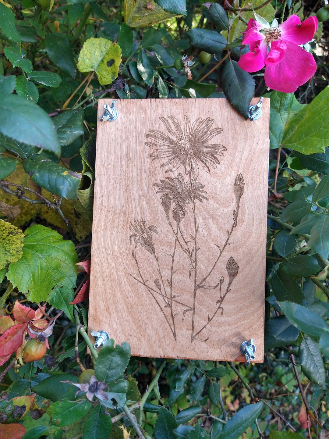 Wooden Flower Press Kit Etsy