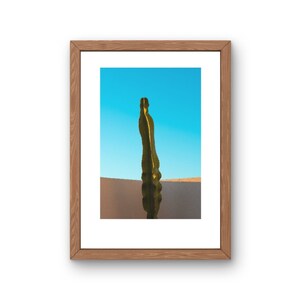 Quadro con stampa Premium FineArt - CACTUS (Procida 2022, Napoli)