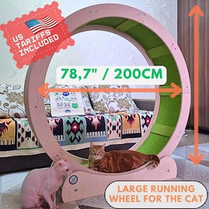 Könnte beinhalten: Ein großes, rosa Katzenrad mit grünem Innenraum, mit einem Durchmesser von 200 cm. Das Rad ist zum Laufen und Trainieren konzipiert, mit einer Ruheplattform an der Basis. Zwei Katzen sind vorhanden.