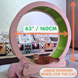 Large Cat Running Wheel: 63&quot; Plywood Treadmill