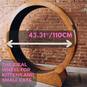 Plywood Cat Running Wheel: Kitten & Small Cat Exercise Trainer (43.31&quot;/110cm)