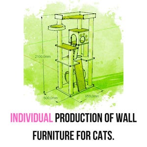 Custom Cat Wall Shelves: Modern Ceiling Playground Furniture