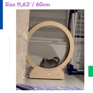Puede incluir: Una rueda de ejercicio de madera para mascotas pequeñas, con un diámetro de 60 cm. La rueda tiene un diseño circular y una base con elementos decorativos. Un pequeño animal gris está dentro de la rueda.