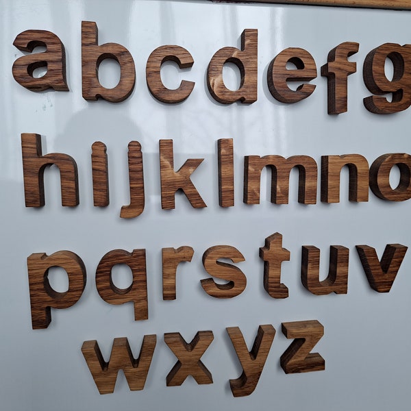 Lettres magnétiques en bois alphabet alphabet en bois 29 alphabet Montessori Petites lettres en bois de chêne aimants lettres jouets en bois