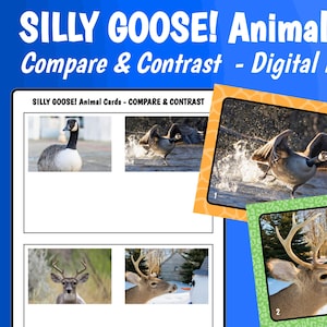 Comparación y contraste // ¡GANSO TONTO! Tarjetas de animales // Descarga digital