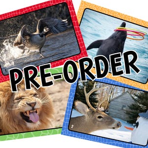 PRE-ORDER // Silly Goose! Dierenkaarten // Materiaal voor logopedie
