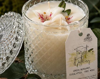 Forest Bathing Candle | Woodland, Eucalyptus, Tree Moss Scent | Crystal Vessel