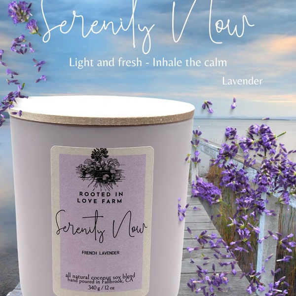 Serenity Now Candle | French Lavender Scent | Luxe Soy-Coconut Wax | Clean Burn | Non-Toxic