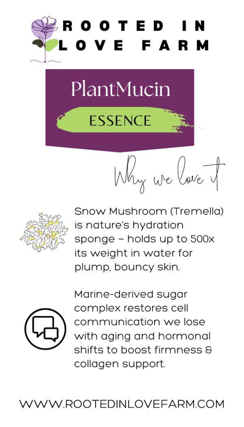 PlantMucin Essence – Vegan Snail Mucin Alternative Serum | Snow Mushroom Hydration + Firming | Cruelty-Free | Non-toxic image 4