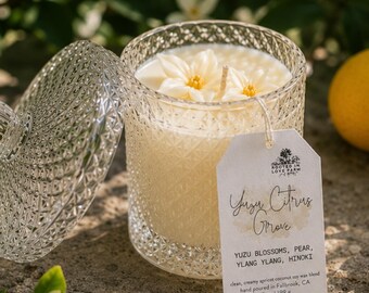 Yuzu Citrus Grove Candle: Serene, Uplifting Citrus Woods Scent, Fresh Home Fragrance