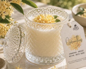 Osmanthus Candle,  Apricot Floral Scent,  Soft Suede Luxury Gift Candle