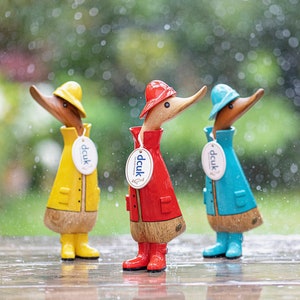 Raincoat Ducklings (sold individually)