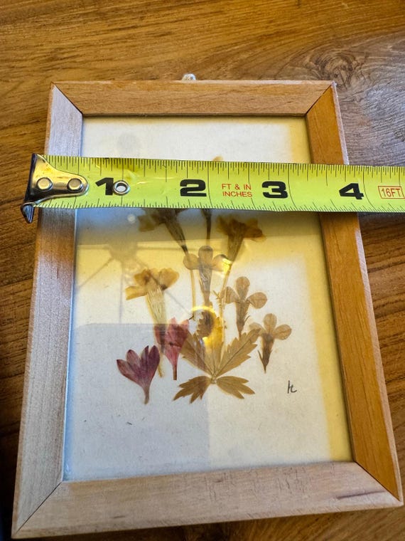 [ドイツ]額入り押し花(壁掛け)/アンティーク ヴィンテージ ブロカント 古道具 ヨーロッパ インテリア 花 ボタニカル 雑貨 雰囲気◎ / 押し花　額　 めばえ「おやゆびひめ」（小学館）挿絵「 親指姫誕生」