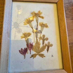 Vintage German Pressed Flower Art - Floral Wall Decor