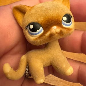 Littlest Pet Shop LPS #318 – Chat Européen Authentique Hasbro – Figurine Collection