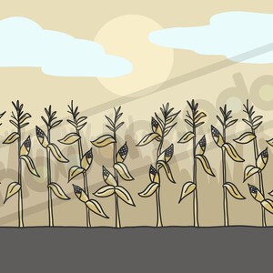 May include: A cartoon illustration of a field of corn stalks with yellow leaves and ears of corn. The background is a light brown with blue clouds.