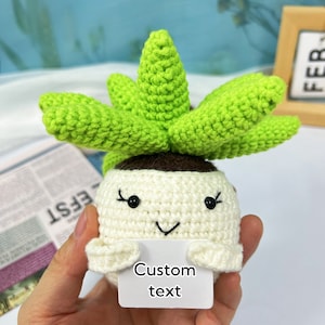 Crochet Positive Sunflowers/Succulent,Cute Office Desk Accessories,Mental Health Gift,Knitted Sunflowers/Cactus,Life Would Succ Without You zdjęcie 7