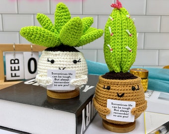 Desk accessories,Hand woven cacti/succulent plants, cute gifts,Mental health gifts,cute gifts for her birthday,Office decorations,
